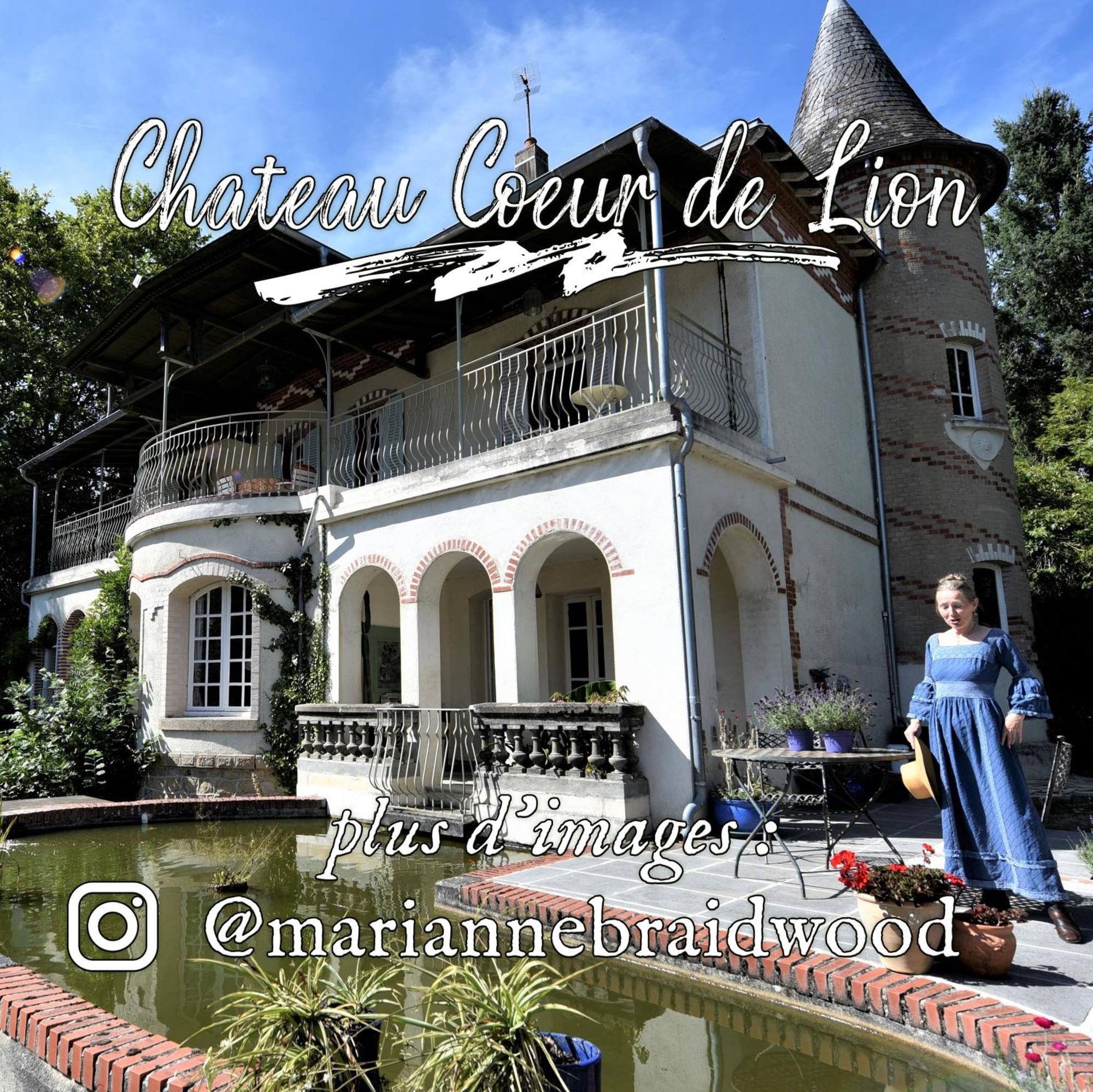 Chateau Coeur De Lion Châteauponsac Екстериор снимка