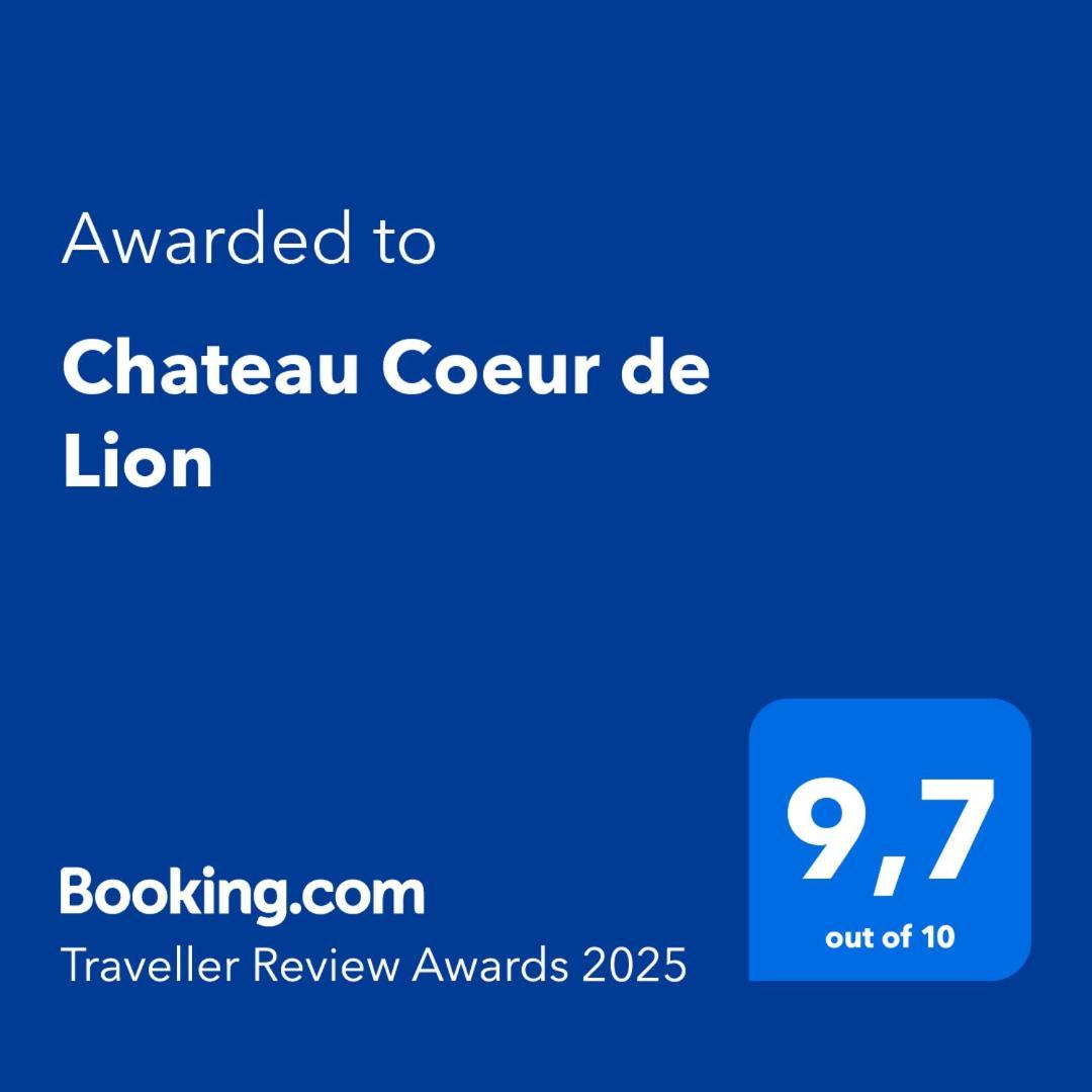 Chateau Coeur De Lion Châteauponsac Екстериор снимка